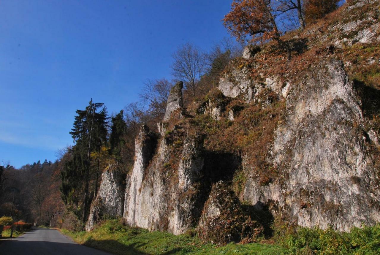 Pokoje Goscinne U Grazyny Ojcow Bagian luar foto