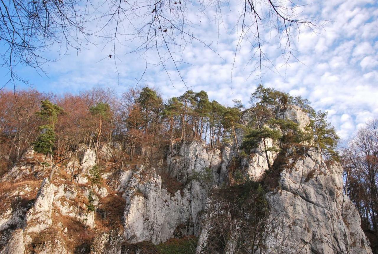 Pokoje Goscinne U Grazyny Ojcow Bagian luar foto