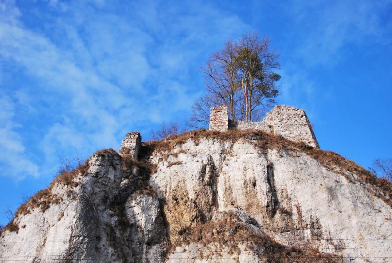 Pokoje Goscinne U Grazyny Ojcow Bagian luar foto