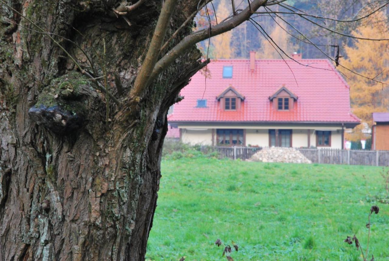 Pokoje Goscinne U Grazyny Ojcow Bagian luar foto