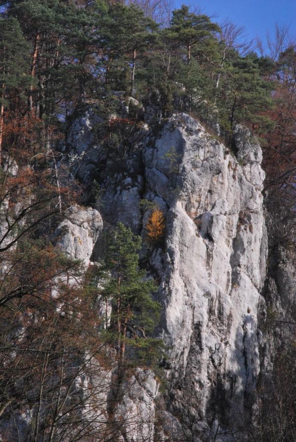 Pokoje Goscinne U Grazyny Ojcow Bagian luar foto