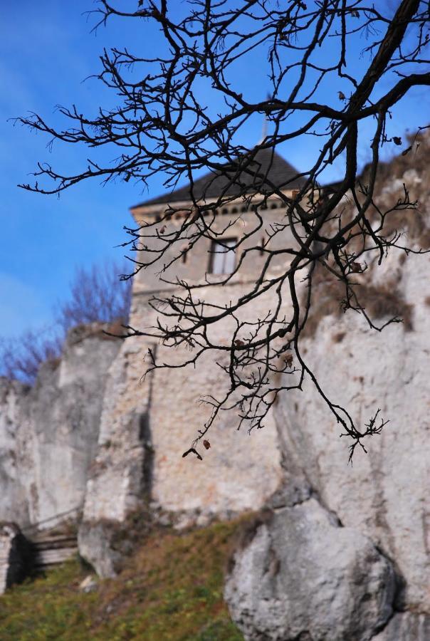 Pokoje Goscinne U Grazyny Ojcow Bagian luar foto