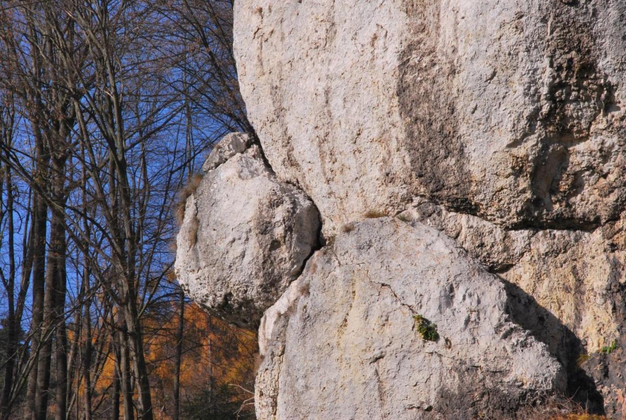 Pokoje Goscinne U Grazyny Ojcow Bagian luar foto