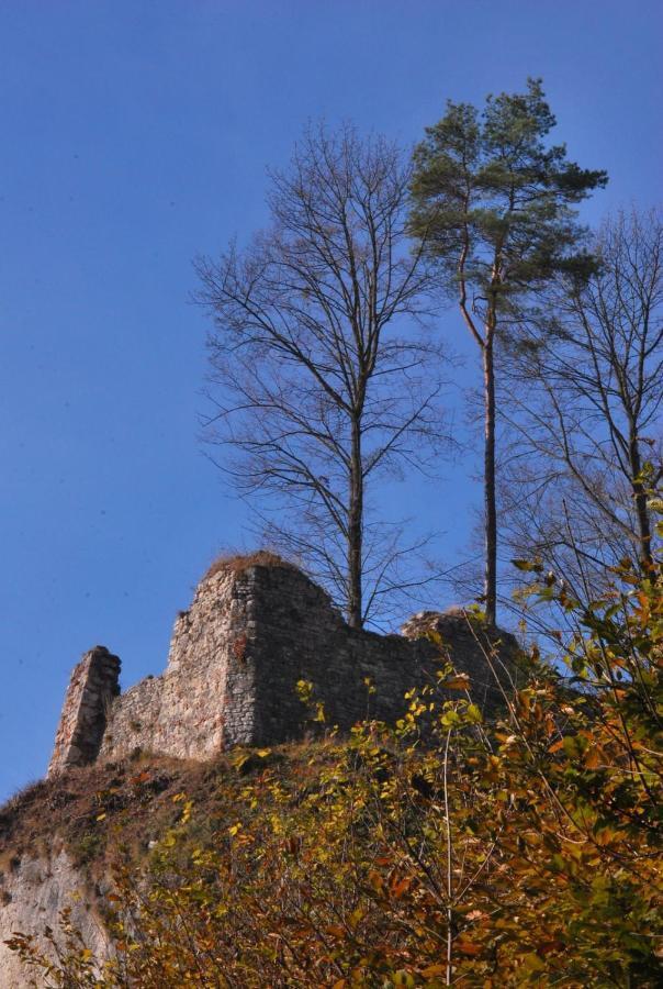 Pokoje Goscinne U Grazyny Ojcow Bagian luar foto