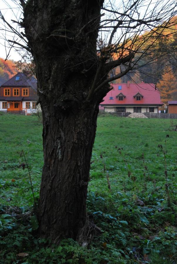 Pokoje Goscinne U Grazyny Ojcow Bagian luar foto