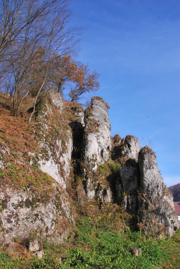 Pokoje Goscinne U Grazyny Ojcow Bagian luar foto