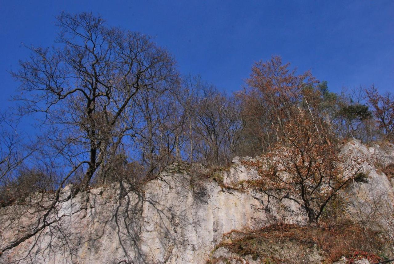 Pokoje Goscinne U Grazyny Ojcow Bagian luar foto