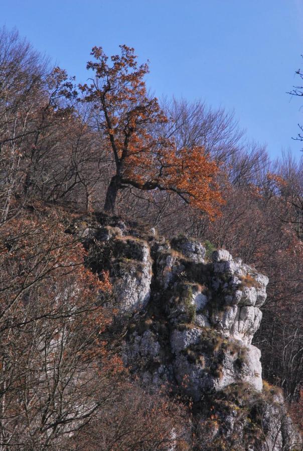 Pokoje Goscinne U Grazyny Ojcow Bagian luar foto