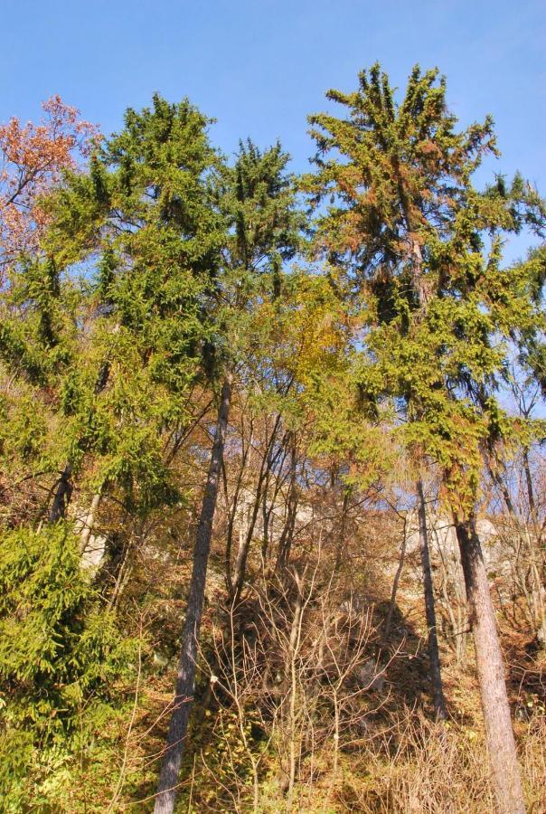 Pokoje Goscinne U Grazyny Ojcow Bagian luar foto