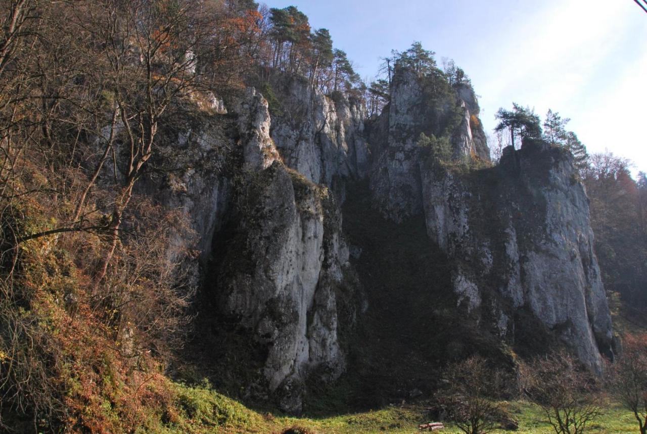 Pokoje Goscinne U Grazyny Ojcow Bagian luar foto