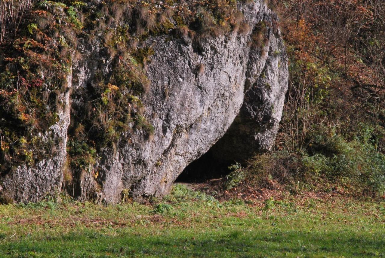 Pokoje Goscinne U Grazyny Ojcow Bagian luar foto