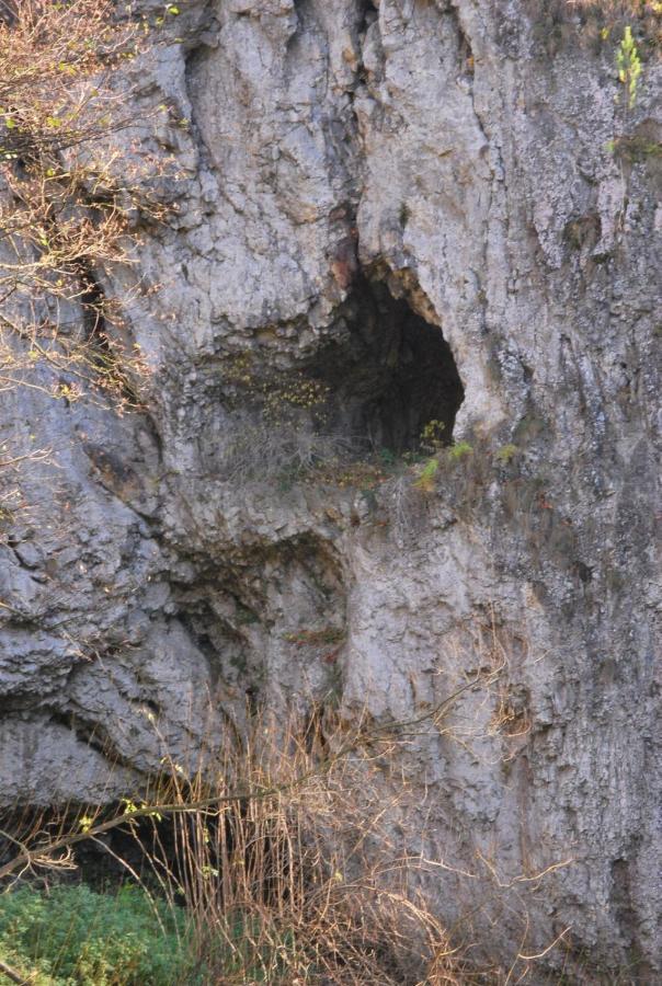 Pokoje Goscinne U Grazyny Ojcow Bagian luar foto