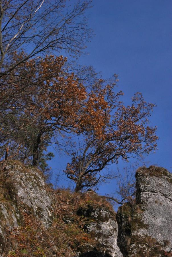 Pokoje Goscinne U Grazyny Ojcow Bagian luar foto