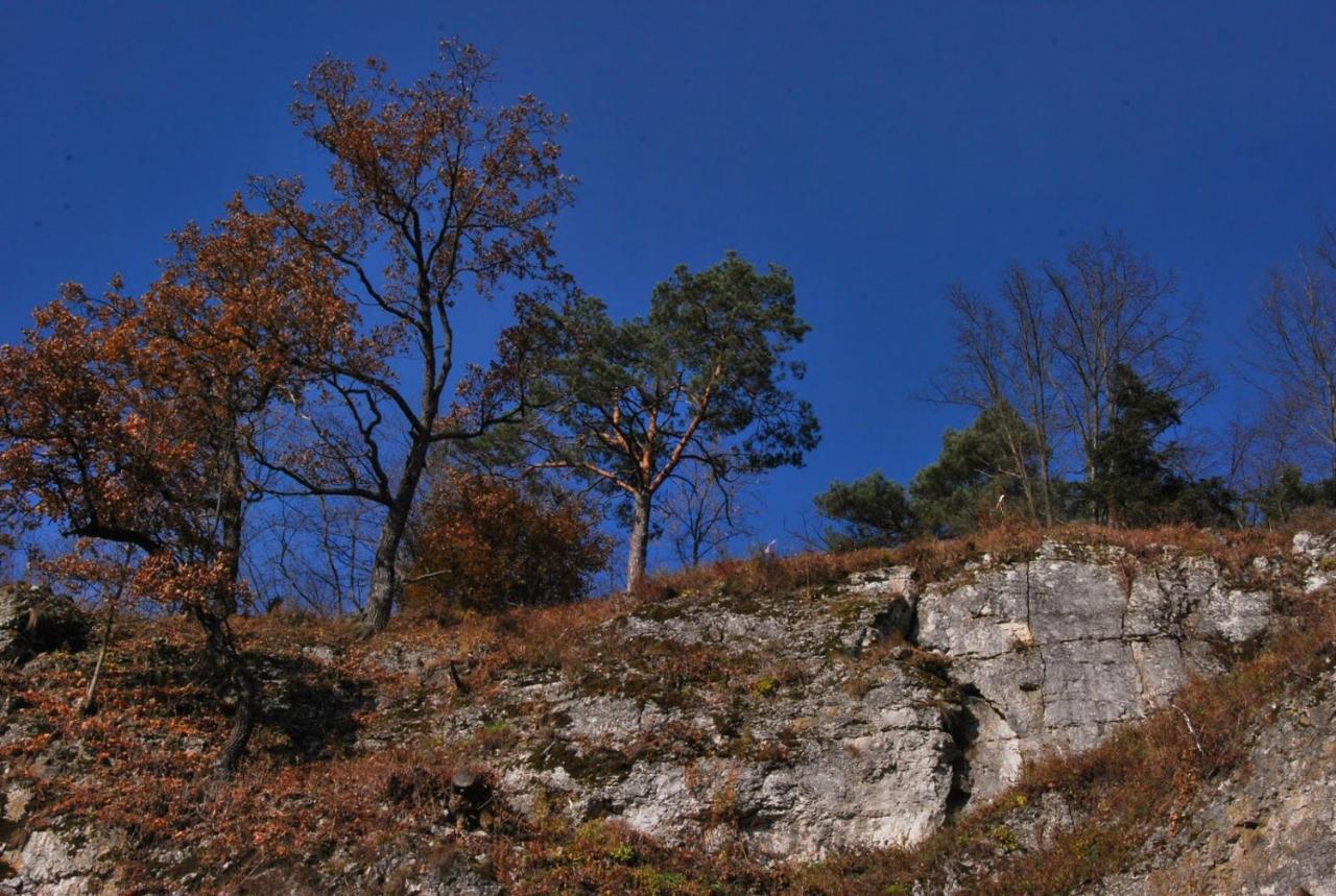 Pokoje Goscinne U Grazyny Ojcow Bagian luar foto