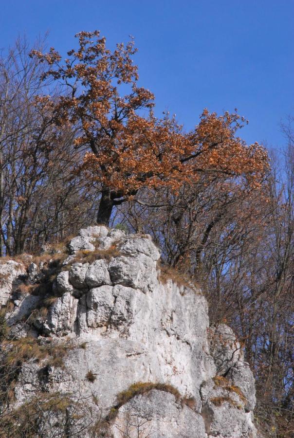 Pokoje Goscinne U Grazyny Ojcow Bagian luar foto