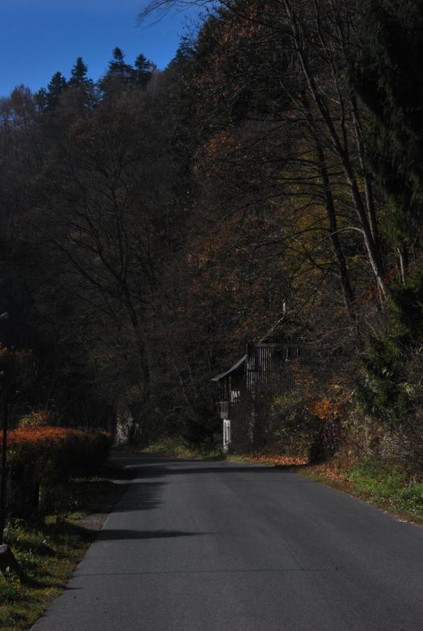 Pokoje Goscinne U Grazyny Ojcow Bagian luar foto