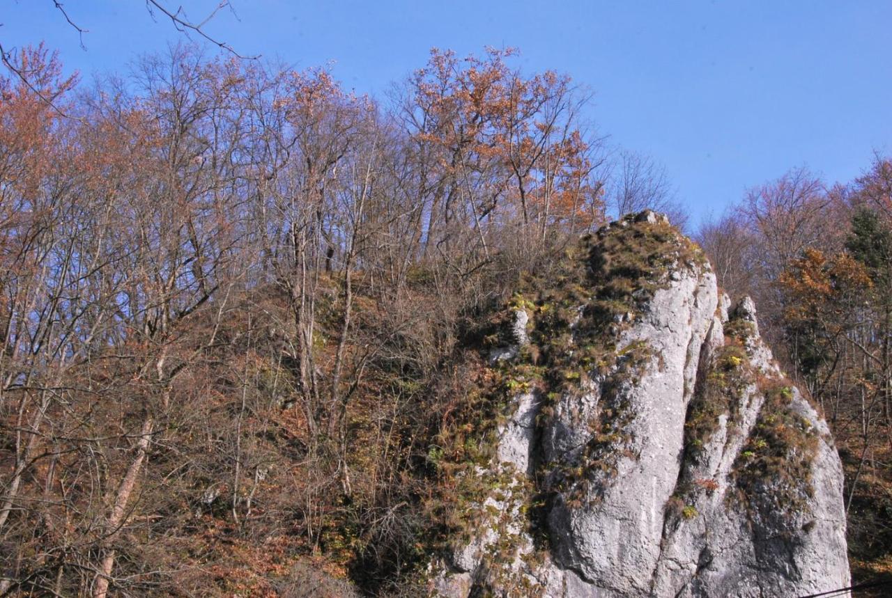 Pokoje Goscinne U Grazyny Ojcow Bagian luar foto