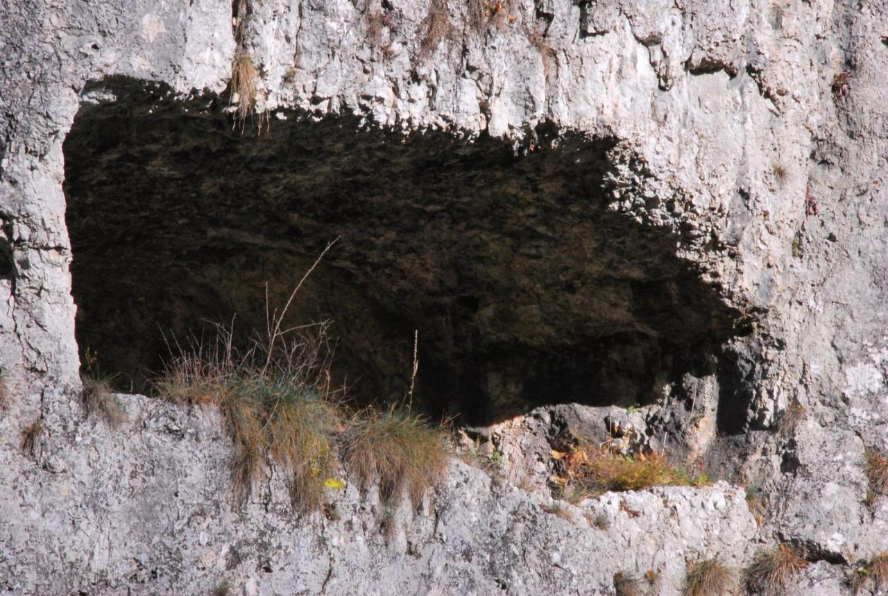 Pokoje Goscinne U Grazyny Ojcow Bagian luar foto