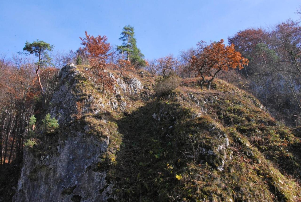 Pokoje Goscinne U Grazyny Ojcow Bagian luar foto